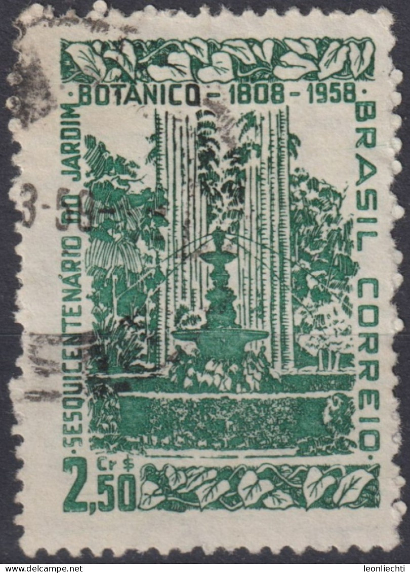 1958 Brasilien ° Mi:BR 935, Sn:BR 870, Yt:BR 651,150th Years Of Botanical Park In Rio De Janeiro - Used Stamps