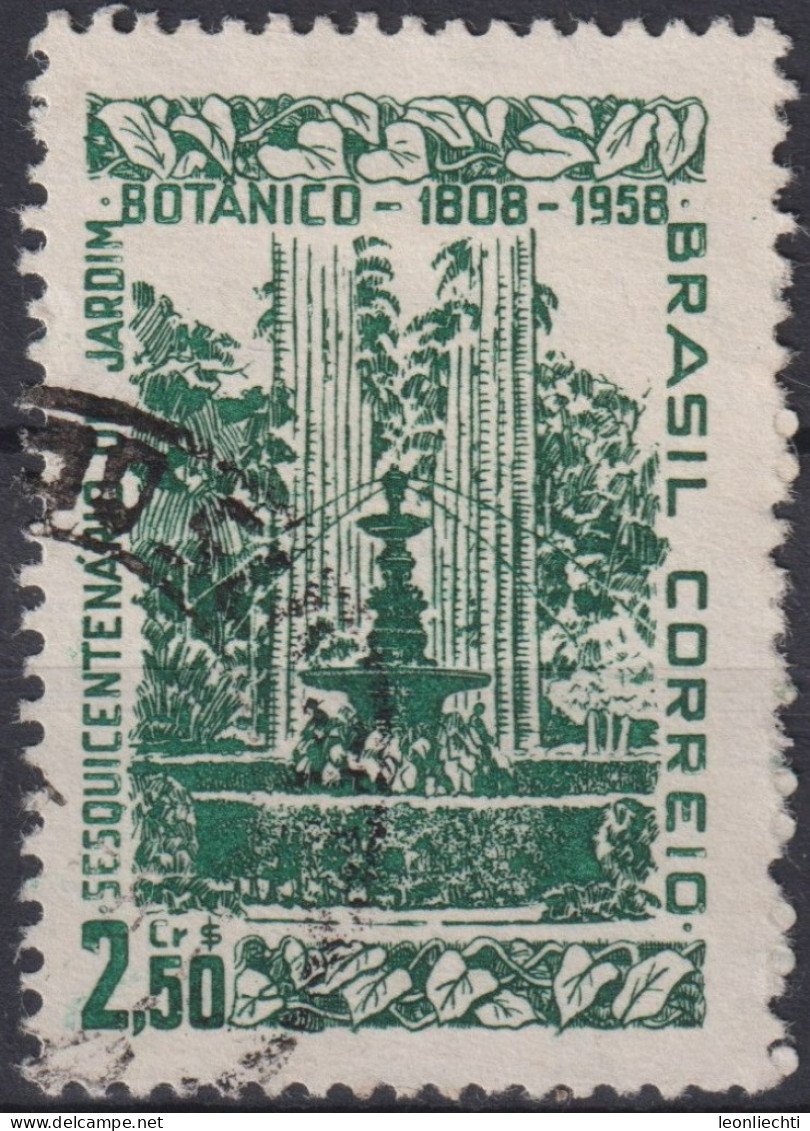 1958 Brasilien ° Mi:BR 935, Sn:BR 870, Yt:BR 651,150th Years Of Botanical Park In Rio De Janeiro - Used Stamps