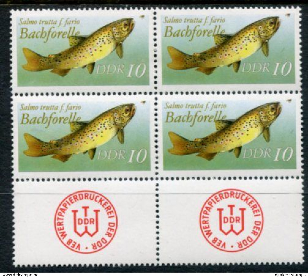 DDR 1987 Freshwater Fish 10 Pf. Without Year Date Block Of 4 MNH / **.  Michel 3096 II - Neufs