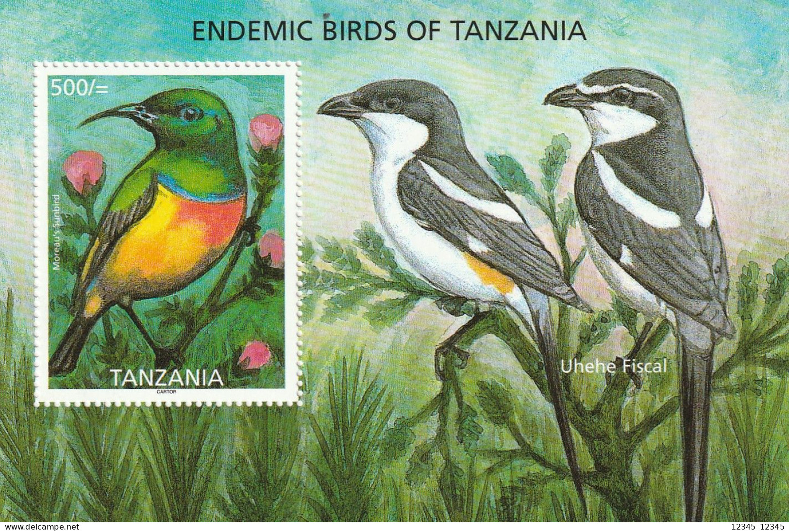 Tanzania 2006, Postfris MNH, Birds - Tanzania (1964-...)