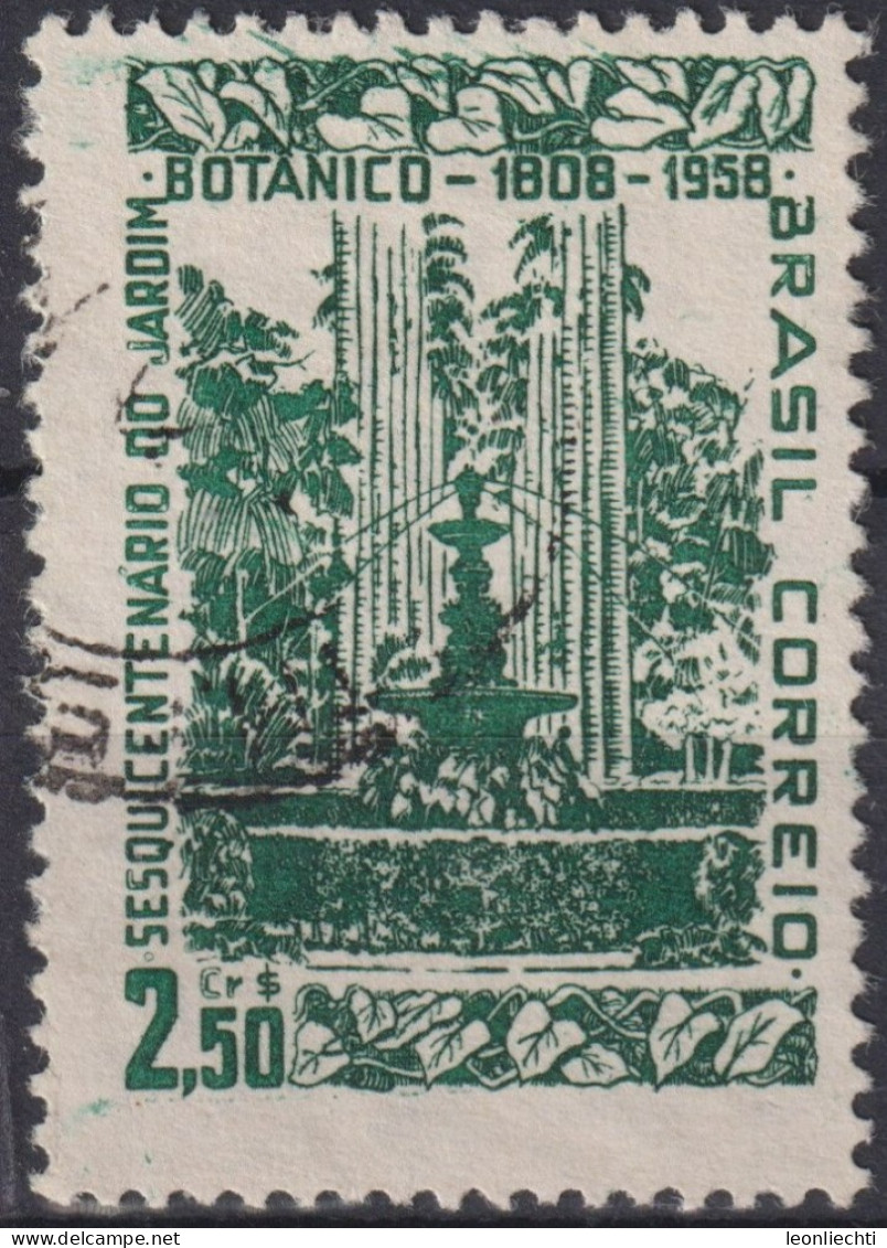 1958 Brasilien ° Mi:BR 935, Sn:BR 870, Yt:BR 651,150th Years Of Botanical Park In Rio De Janeiro - Used Stamps