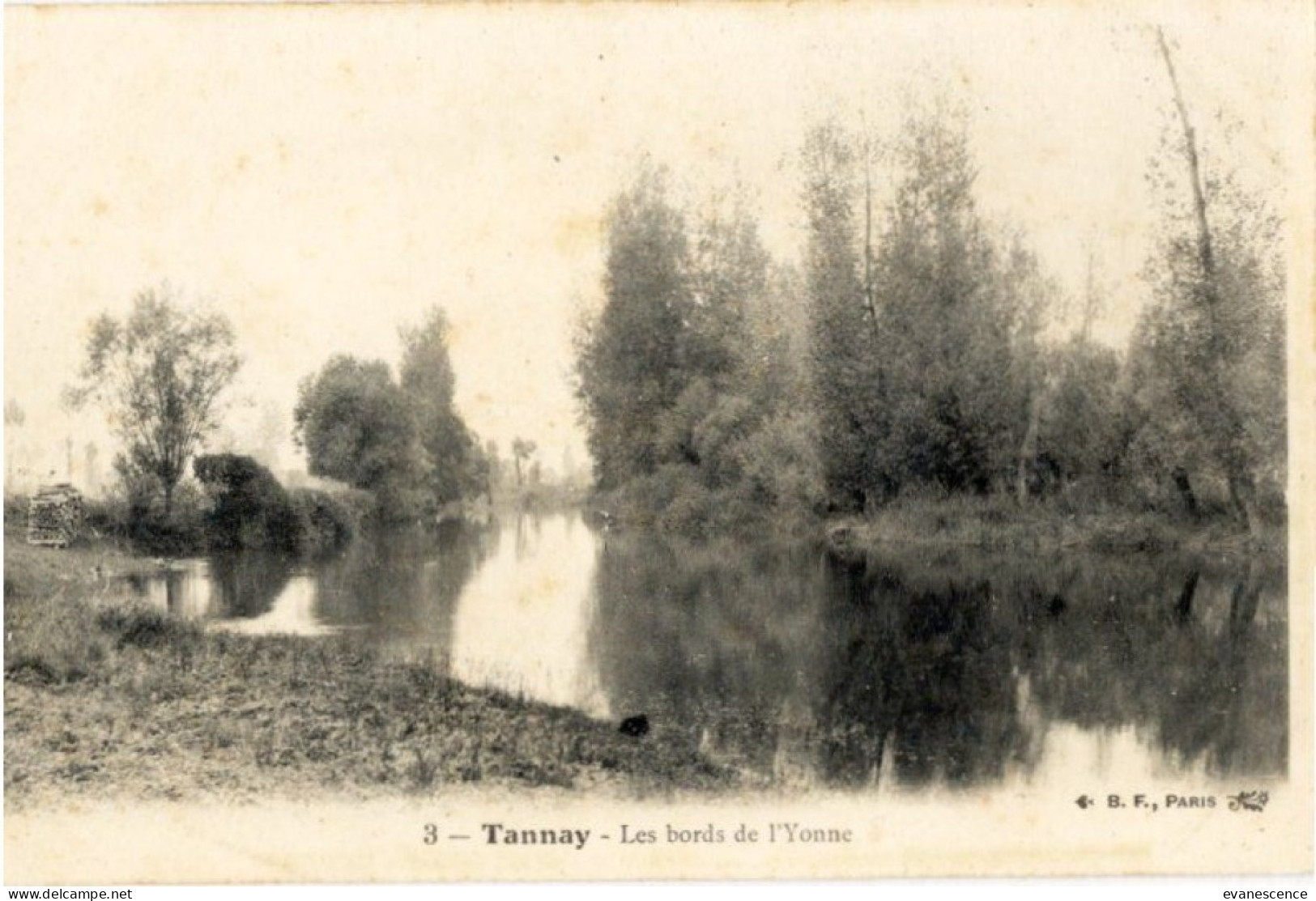 Tannay :  Bords De L'Yonne    /// Ref Mars 24. /// BO. 58 - Tannay