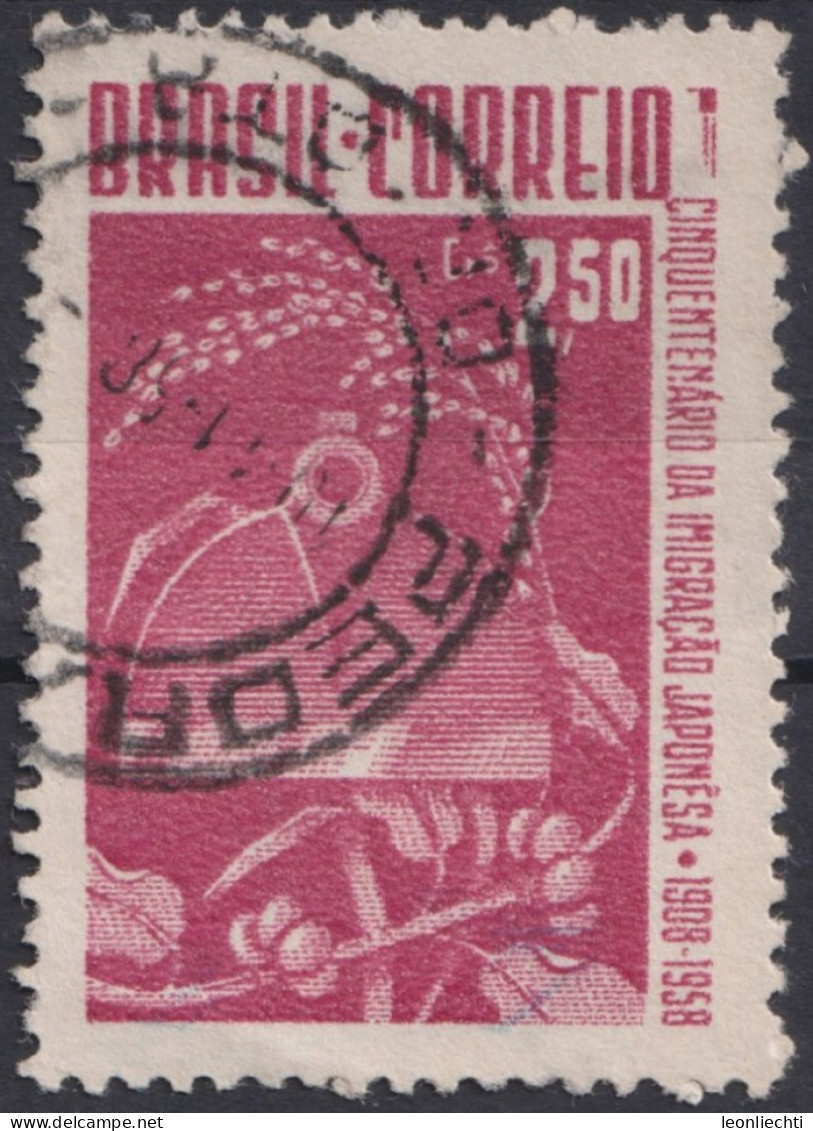 1958 Brasilien ° Mi:BR 936, Sn:BR 871, Yt:BR 652, Hoe, Rice And Cotton, 50th Anniversary Of Japanese Immigration - Oblitérés