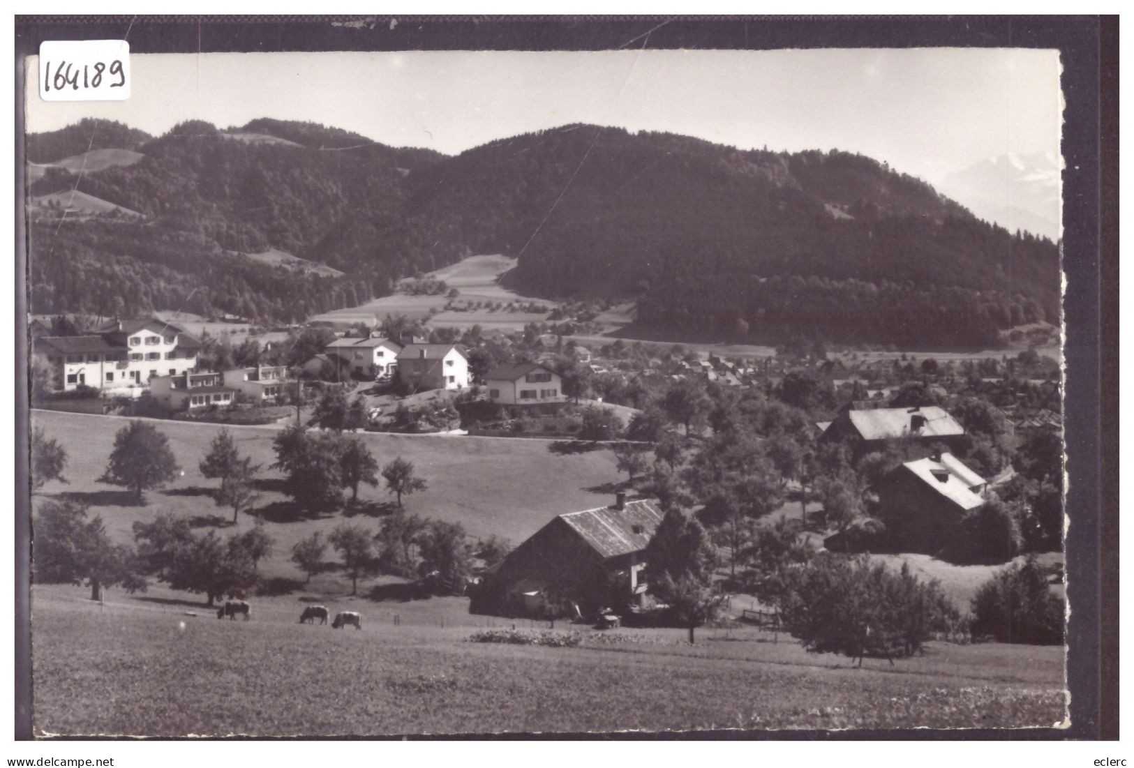 BEI STEFFISBURG - TB - Steffisburg