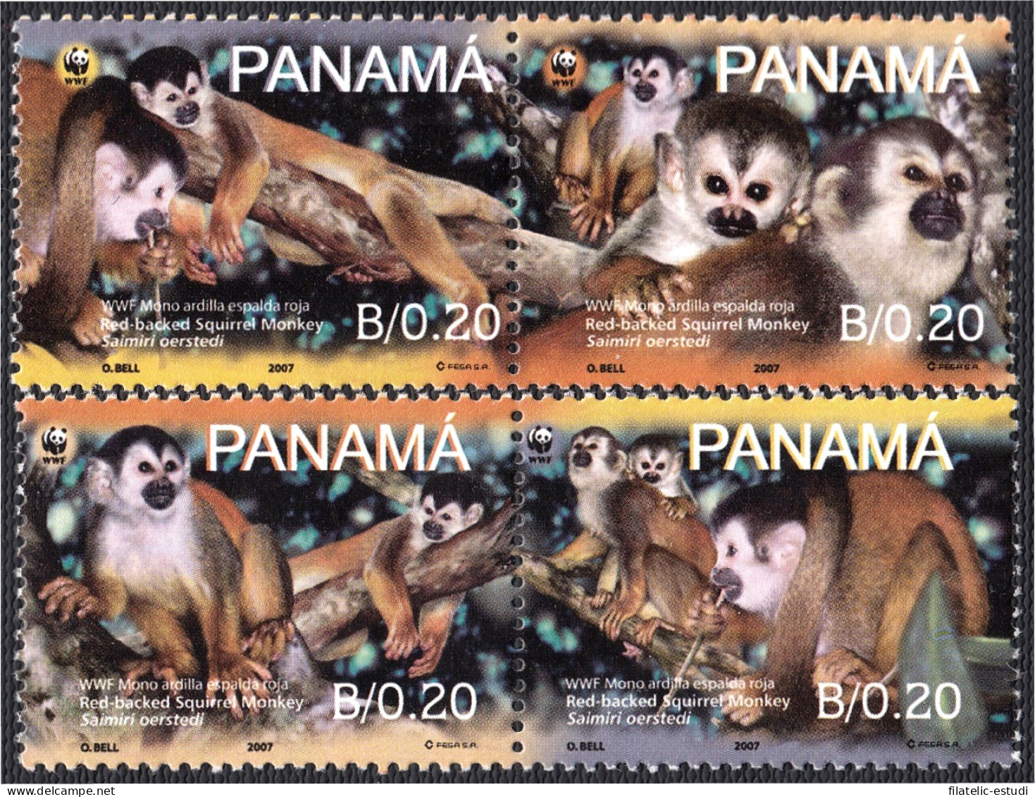 Panama 1249/52 2007 WWF Mono Ardilla MNH - Panama