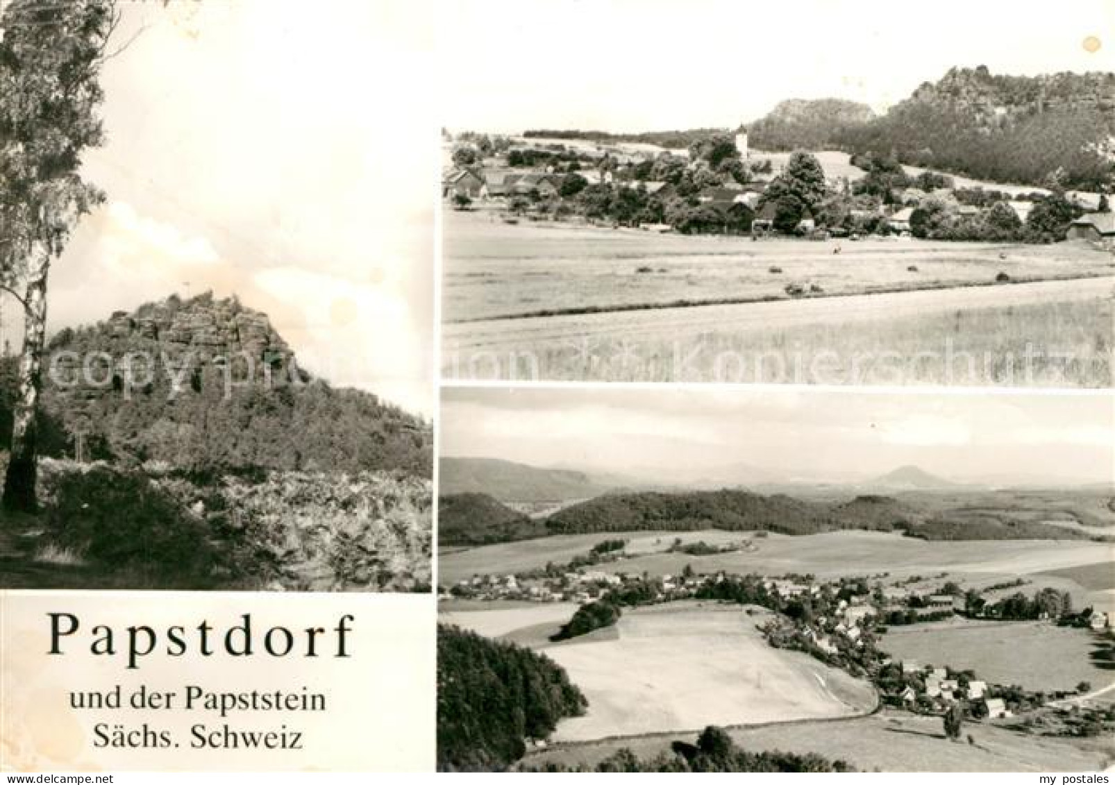 73046177 Papstdorf Papststein Panoramen Papstdorf - Gohrisch