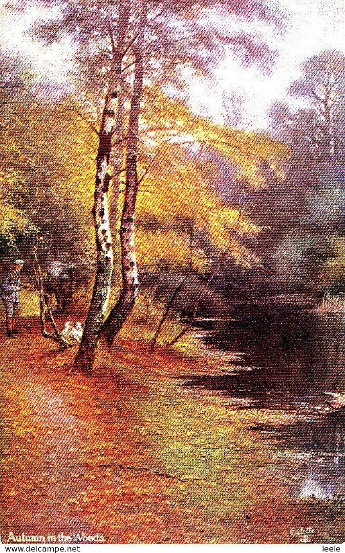 CB24. Vintage Tucks Postcard. Autumn In The Woods. - Arbres