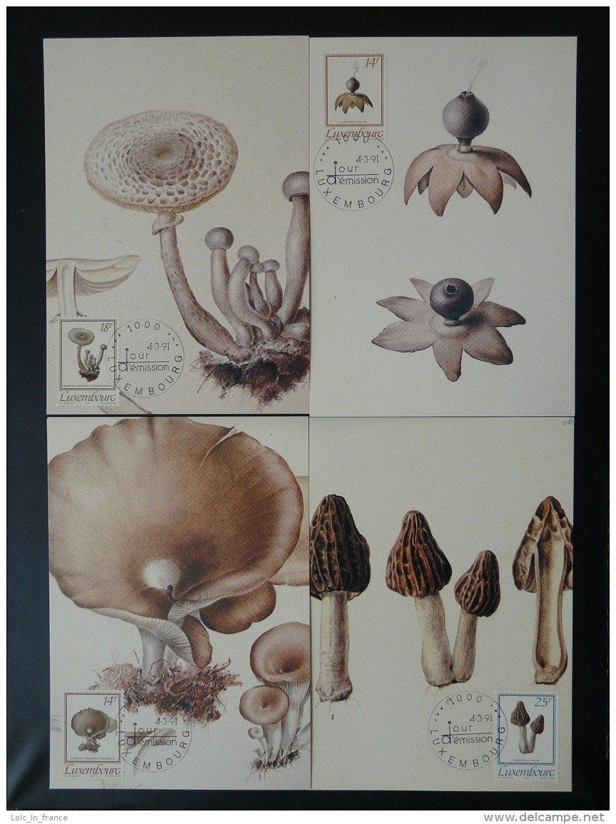 Carte Maximum Card (x4) Champignons Mushroom Luxembourg 1991 - Maximumkarten