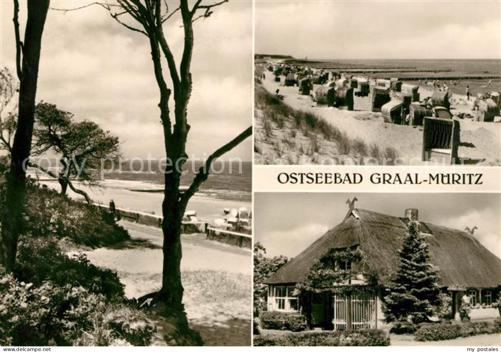 73045342 Graal-Mueritz Ostseebad Strandpromenade Badestrand In Mueritz Altes Lan - Graal-Müritz