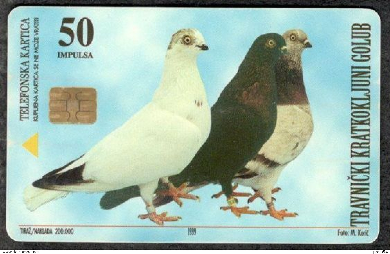 Bosnia Sarajevo -  Short-beaked Pigeon Used Chip Card - Bosnie