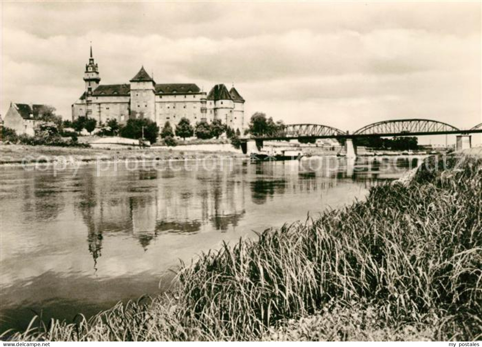 73044935 Torgau Schloss Hartenfels Torgau - Torgau