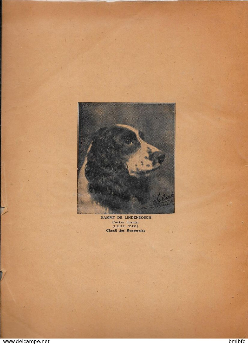 1934 LA CHASSE - LES ARMES - LES CHIENS - DROIT - RÉGLEMENTATION - LÉGISLATION COMPARÉE Par Octave LESCHEVIN - Fischen + Jagen