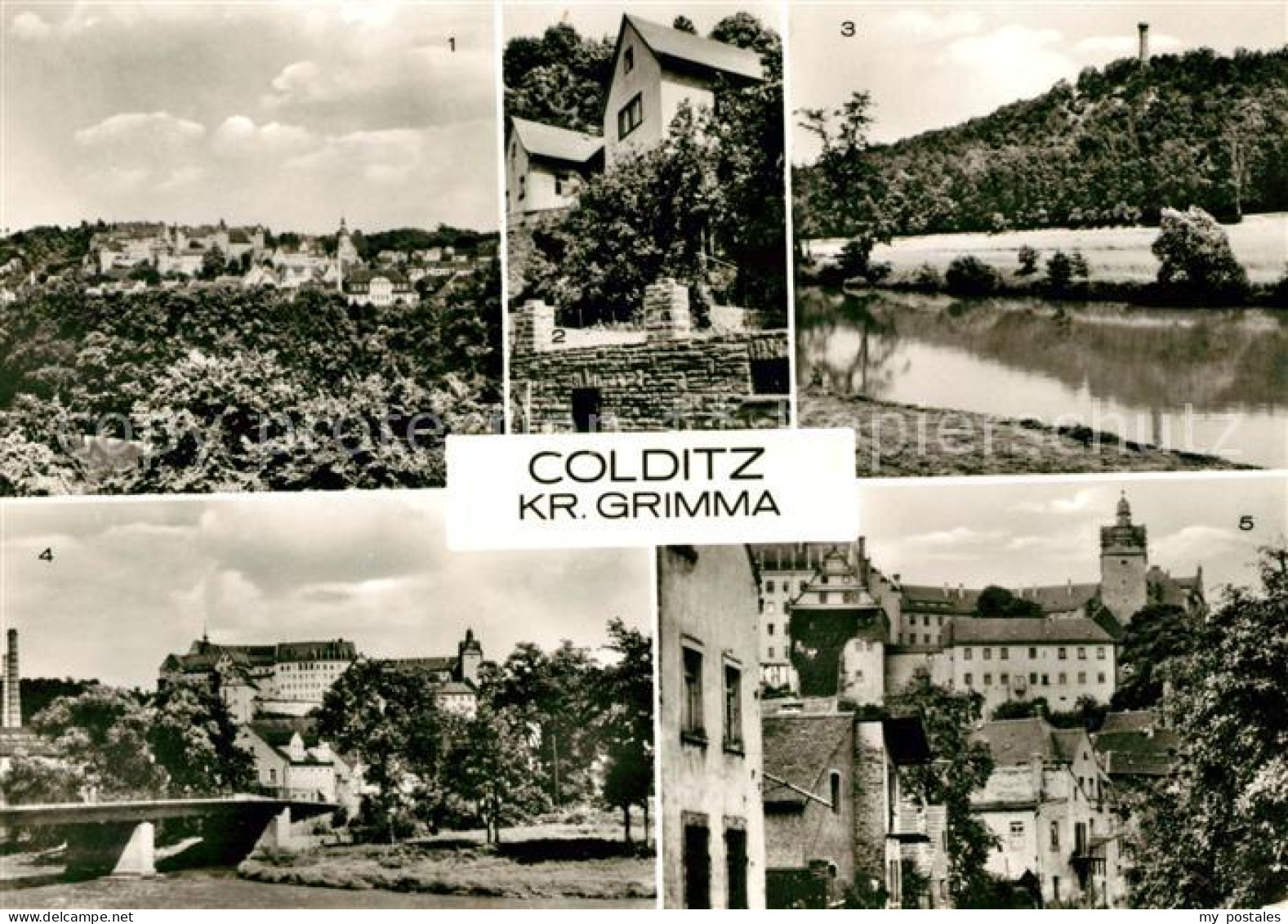 73043856 Colditz Panorama Jugendherberge Heimatturm Mulde Schloss Poliklinik Mue - Colditz