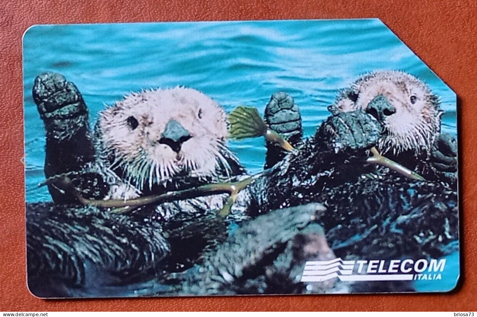 Italie.       Carte Téléphonique -     Animaux Pour Ainsi Dire - La Loutre -   Italie . - Sonstige – Europa