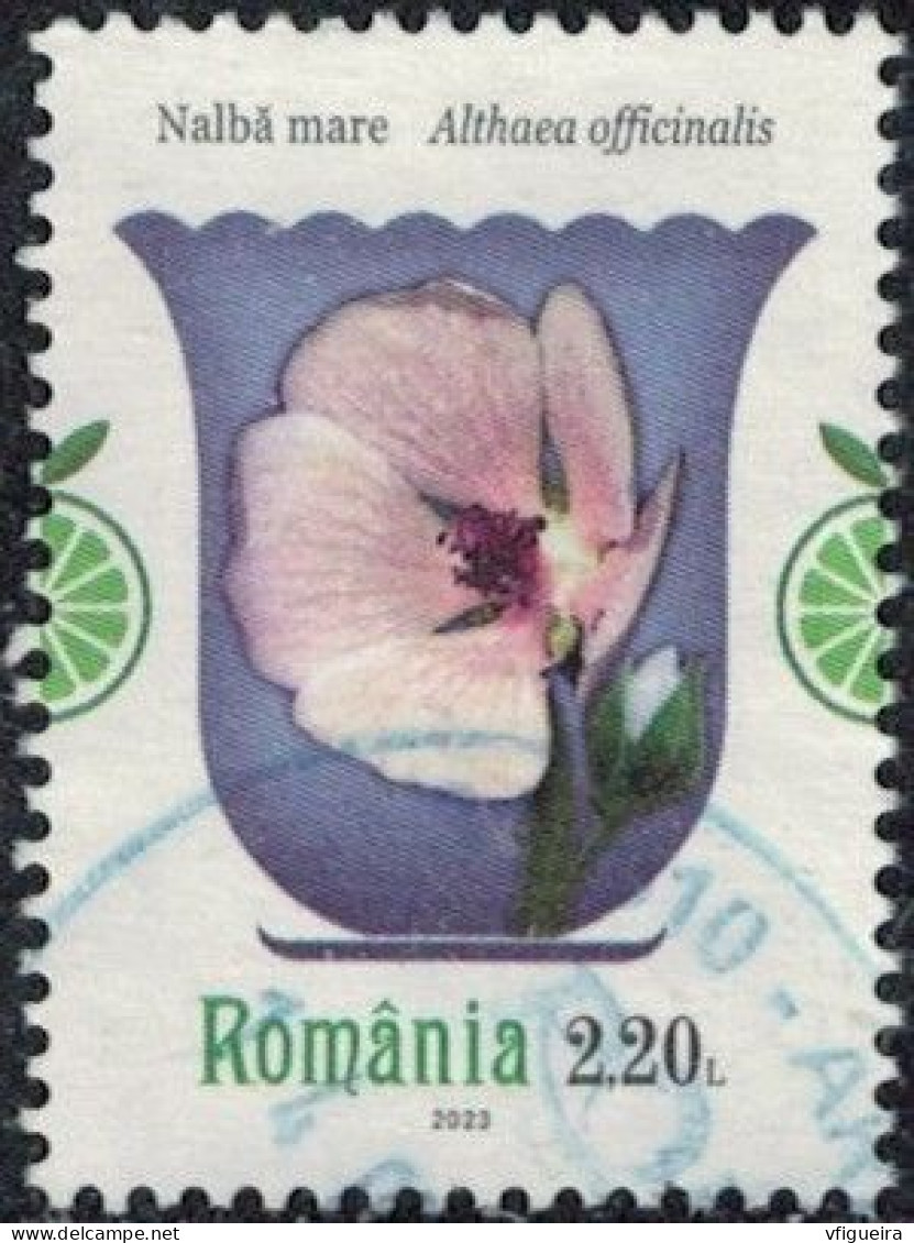 Roumanie 2023 Oblitéré Used Plantes Médicinales Althaea Officinalis Guimauve Officinale Y&T RO 6960 SU - Gebruikt