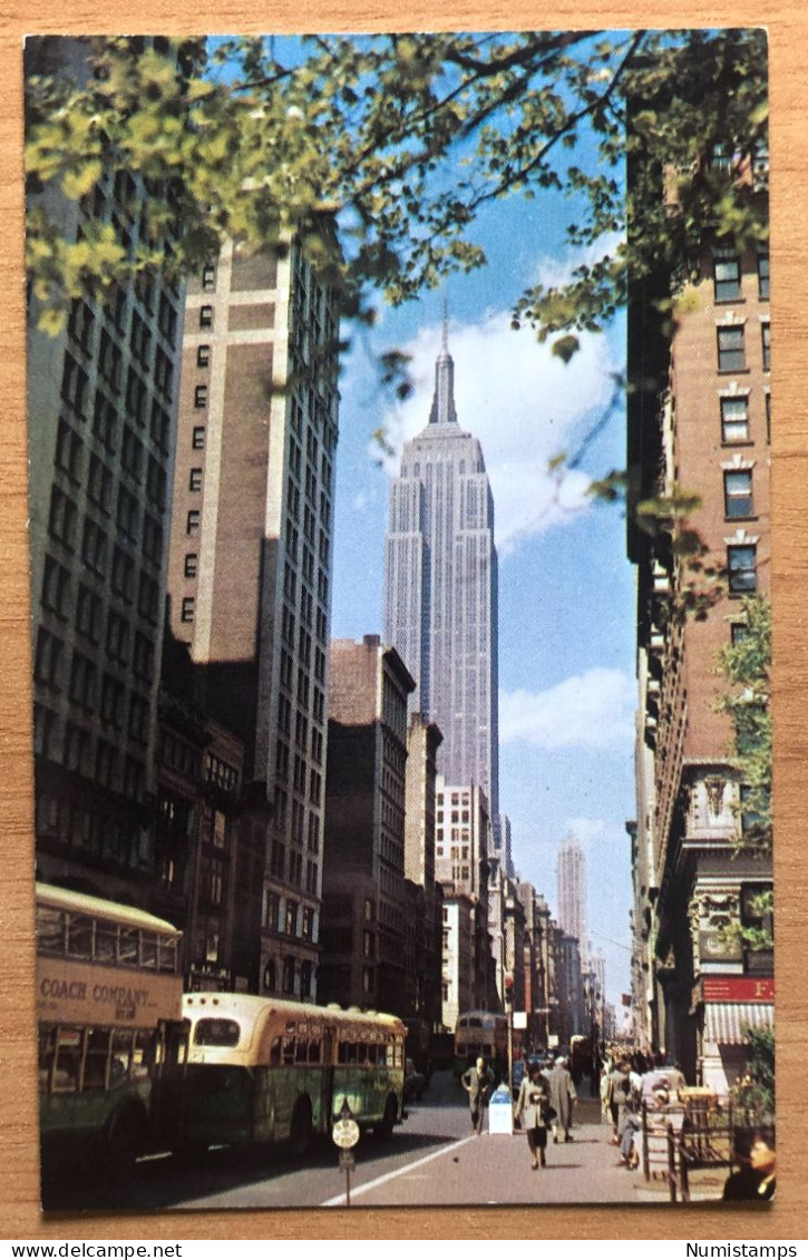 New York City - View Of Fifth Avenue (c169) - Autres Monuments, édifices