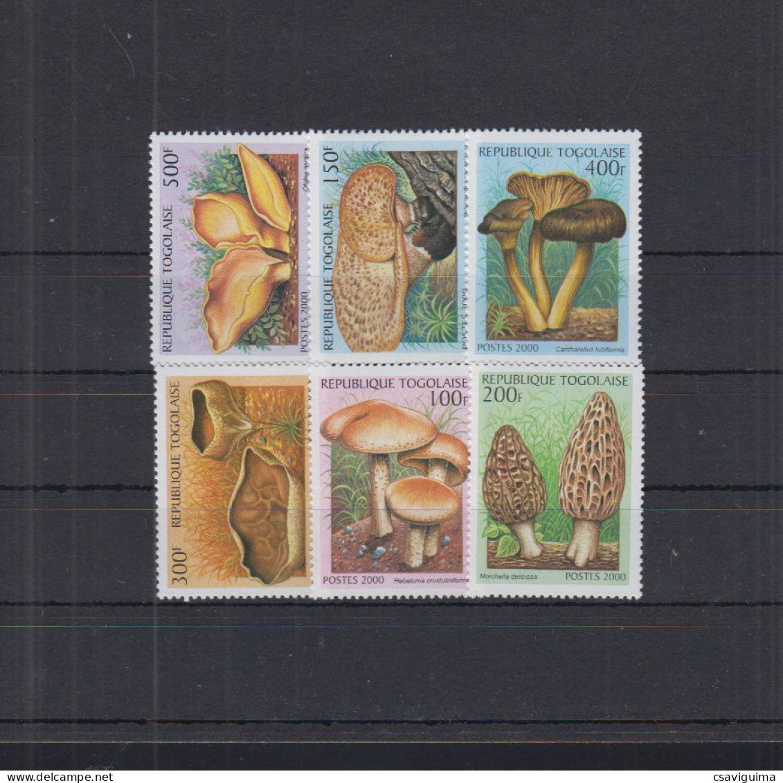 Togo - 2000 - Mushrooms - Yv 1867G/M - Pilze