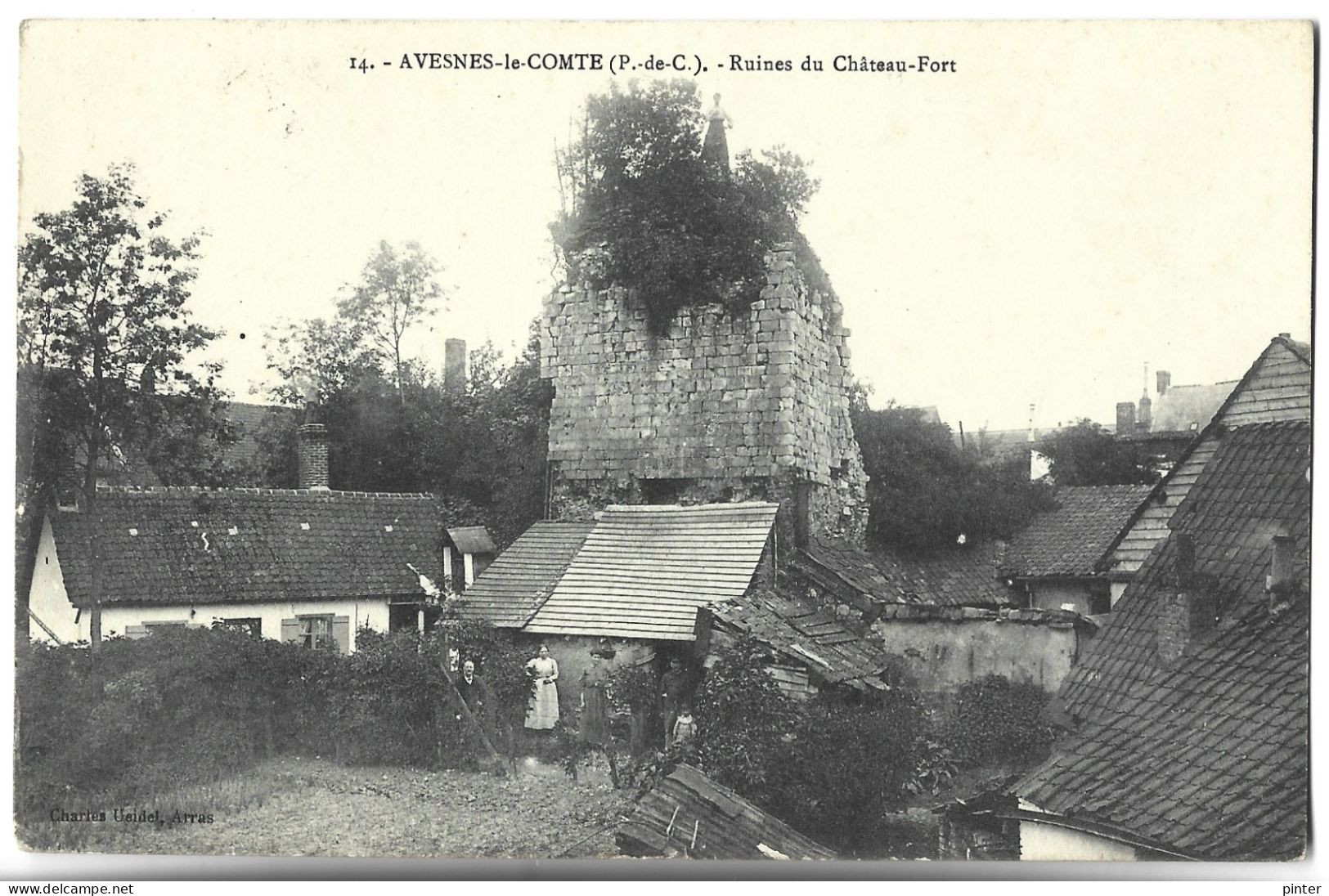 AVESNES LE COMTE - Ruines Du Chateau Fort - Avesnes Le Comte