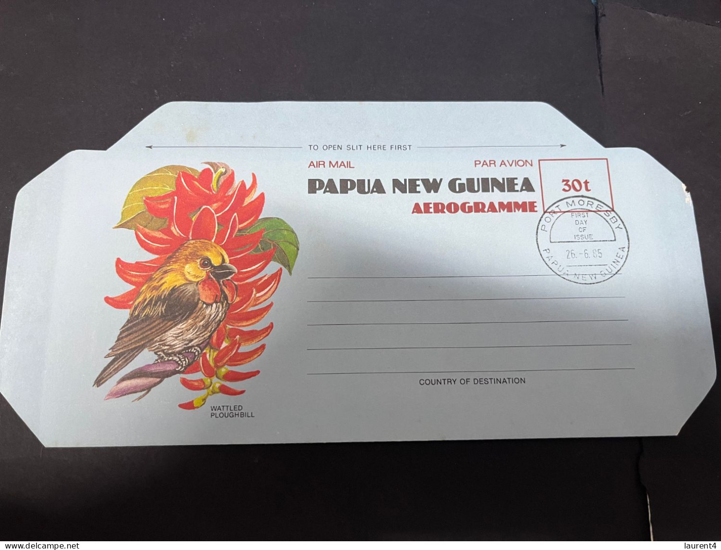 5-3-2024 (2 Y 14) Papua New Guinea Aerogramme - Bird X 2 - 30 T - Papua New Guinea