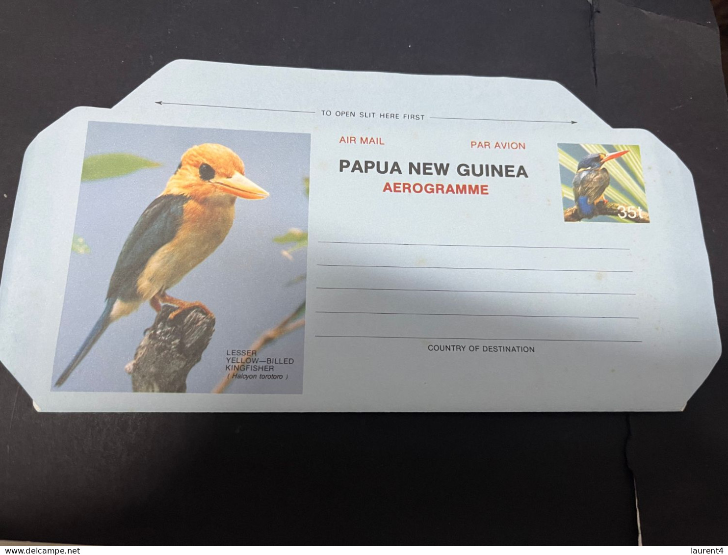 5-3-2024 (2 Y 14) Papua New Guinea Aerogramme - Bird X 2 - 35 T - Papua New Guinea