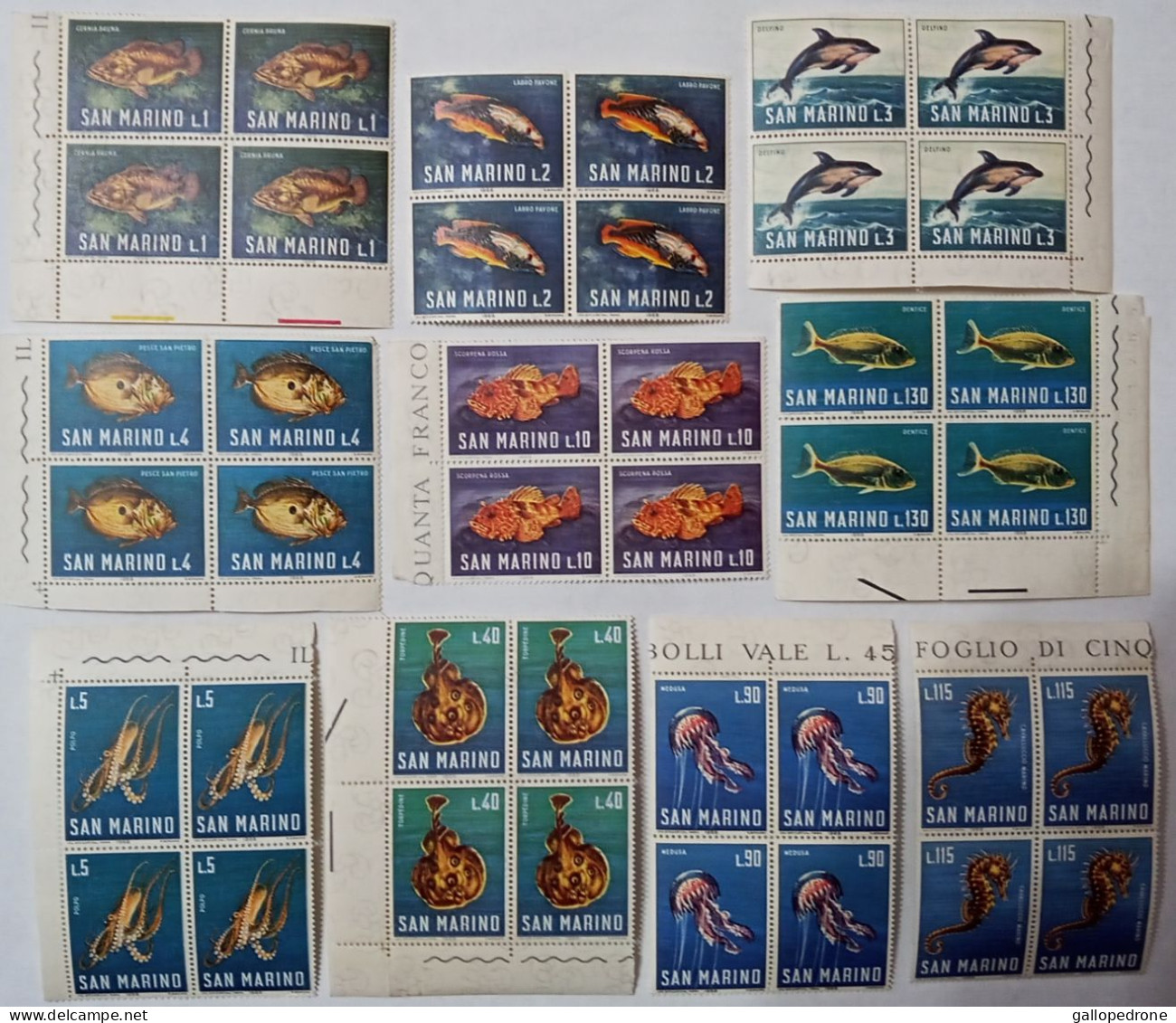 1966 San Marino, Serie Completa "fauna Marina" In Quartina - Nuovi MNH ** - Ungebraucht