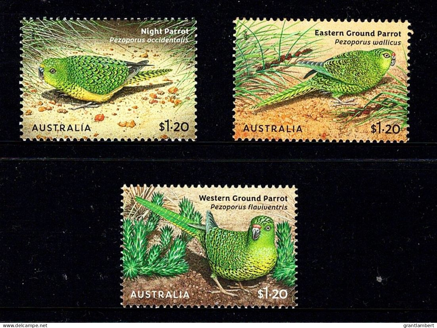 Australia 2024 Ground Parrots  Set Of 3 MNH - Ungebraucht