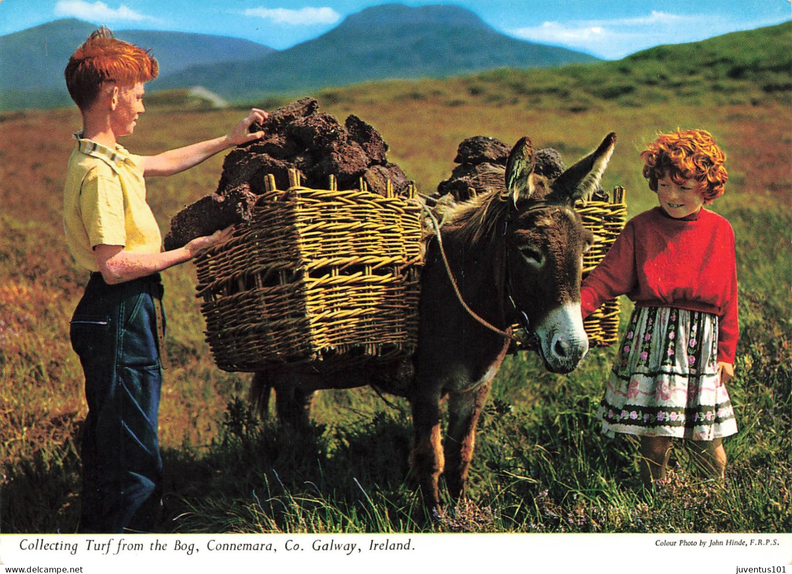 CPSM Collecting Turf From The Bog,Connemara    L2699 - Galway