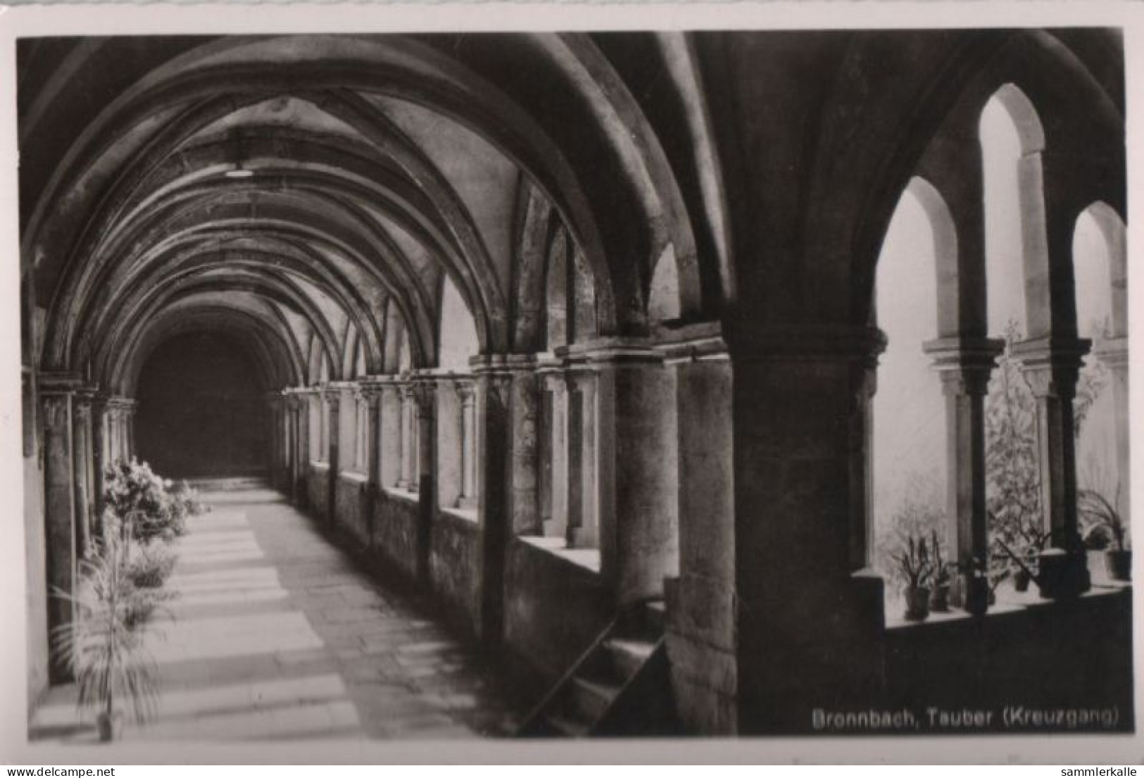 35978 - Bronnbach (OT Von Wertheim) - Kreuzgang - Ca. 1950 - Wertheim