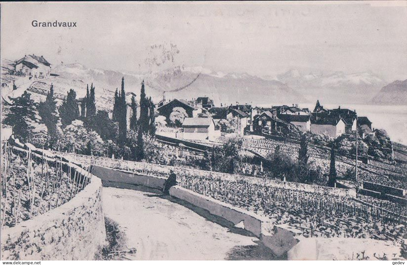 Grandvaux VD, Vignes Et Village (5.6.1910) - Grandvaux