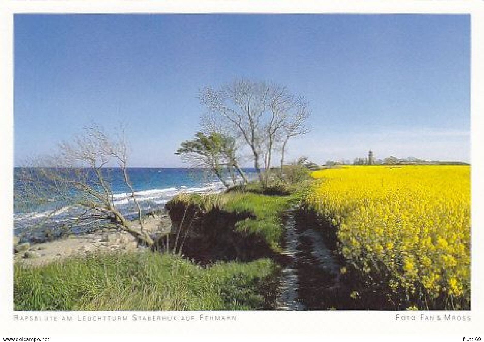 AK 206188 GERMANY - Rapsblüte Am Leuchtturm Staberhuk Auf Fehmarn - Fehmarn