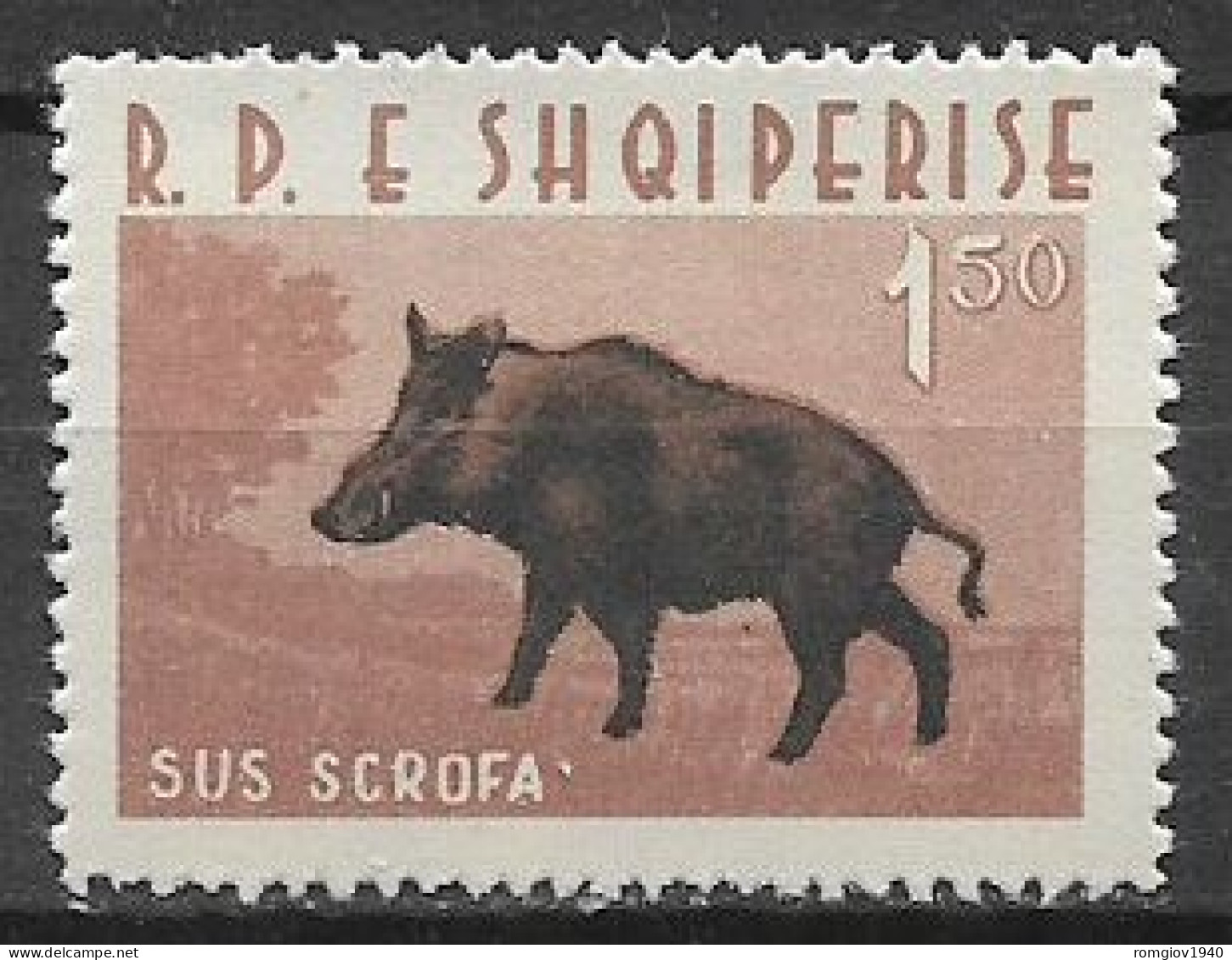 ALBANIA  1962 ANIMALI  DIVERSI  YVERT. 599  MNH XF - Albanien