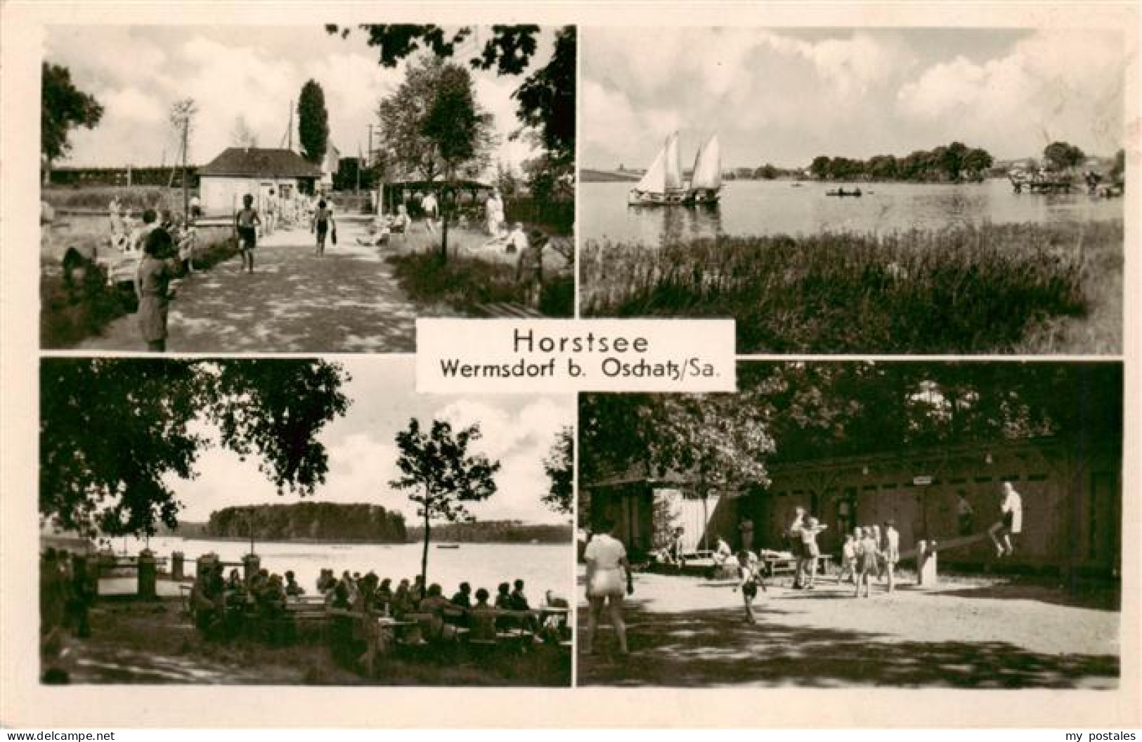 73962279 Wermsdorf Horstsee Teilansichten - Wermsdorf