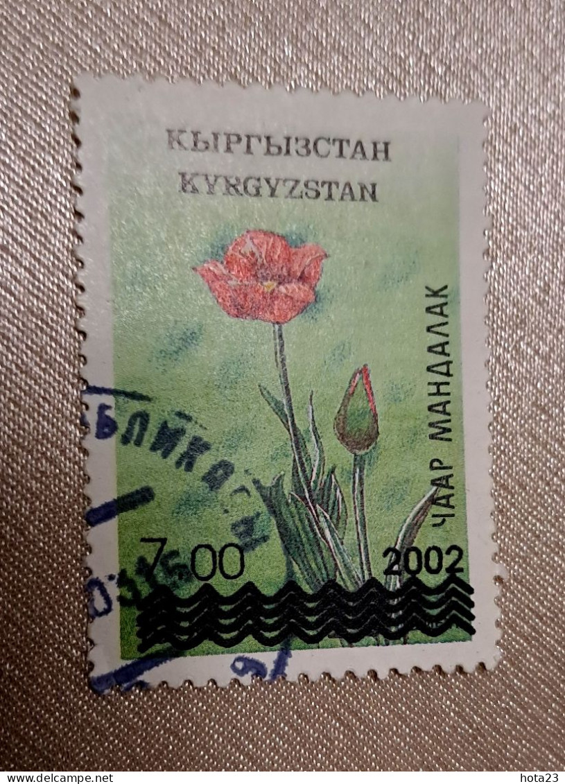 Kyrgistan 2002 Year  Flower Used - Real Post - Kirgisistan