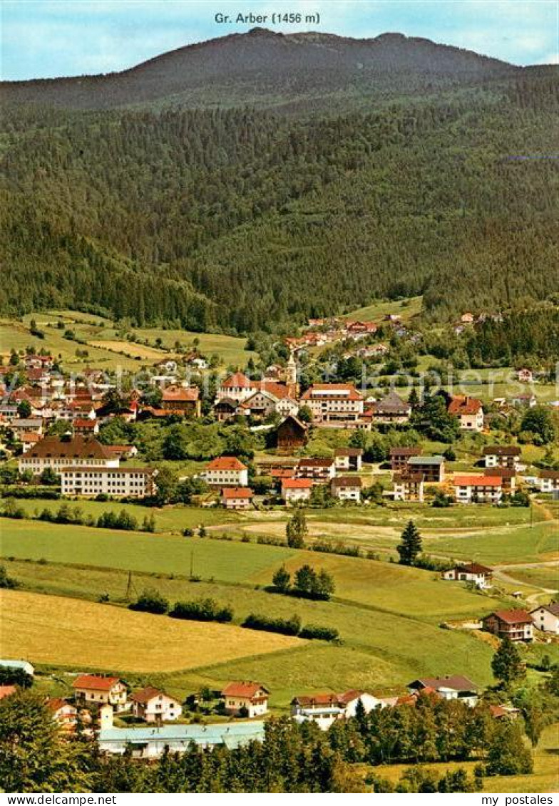 73176477 Bodenmais Panorama Luftkurort Am Fusse Des Arbers Bayerischer Wald Bode - Bodenmais