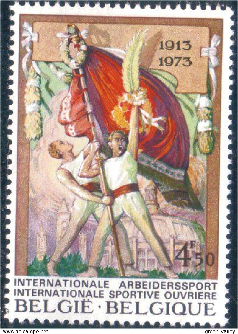198 Belgium Drapeau Flag MNH ** Neuf SC (BEL-315b) - Stamps