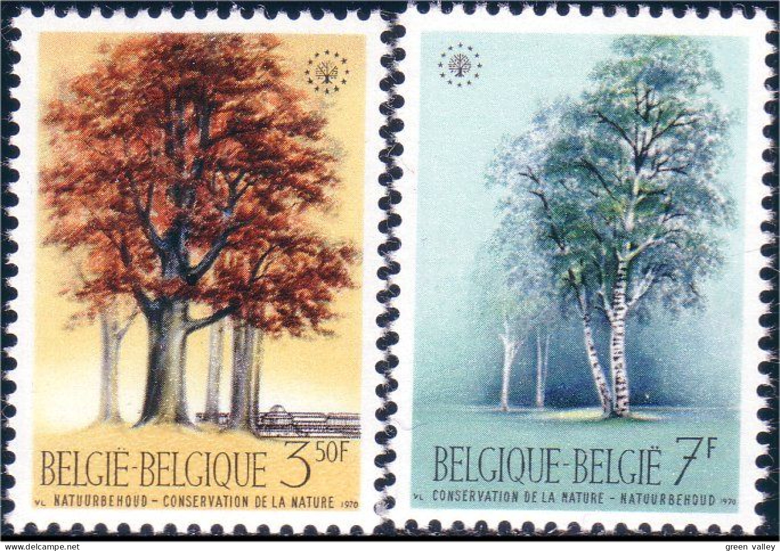 198 Belgium Nature Trees Arbres Beech Bouleau MNH ** Neuf SC (BEL-226b) - Trees