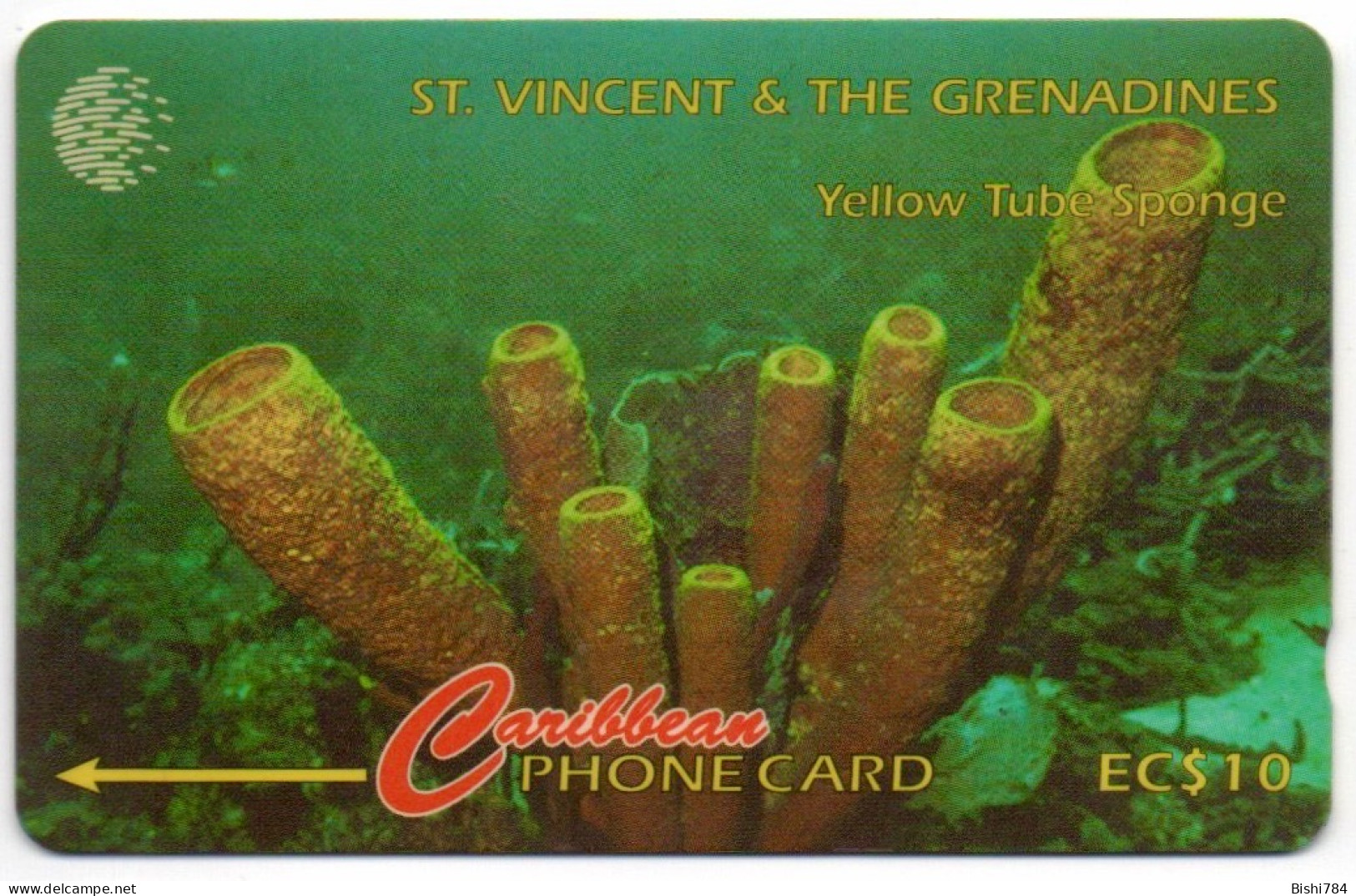 St. Vincent & The Grenadines - Yellow Tube Sponge - 52CSVF - San Vicente Y Las Granadinas