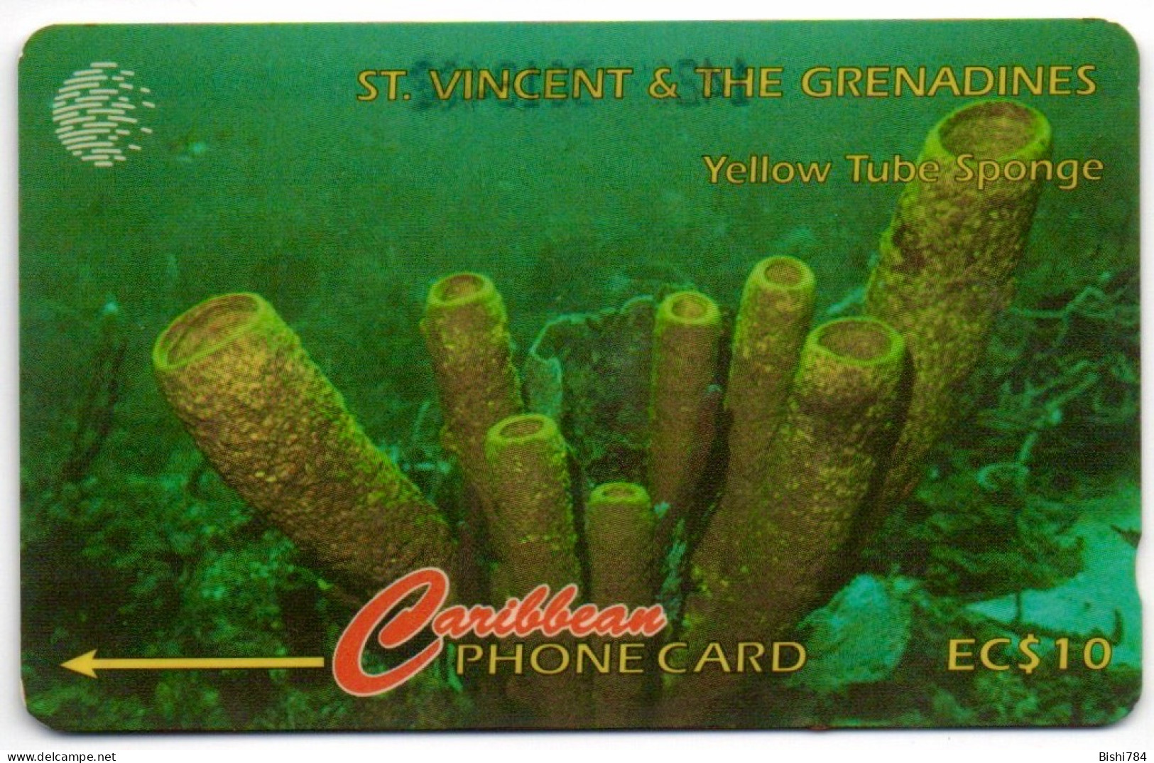 St. Vincent & The Grenadines - Yellow Tube Sponge - 101CSVA - St. Vincent & The Grenadines