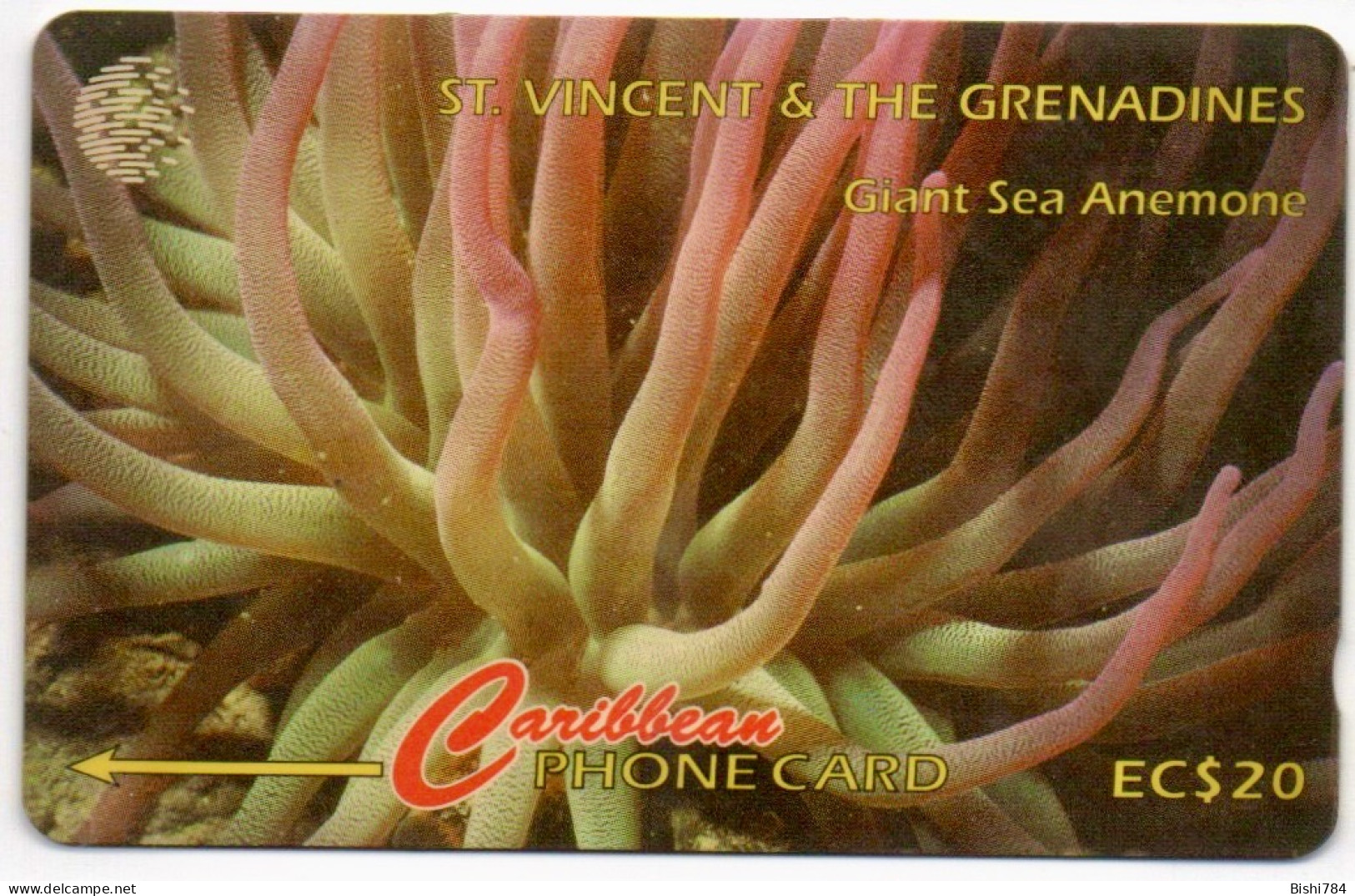 St. Vincent & The Grenadines - Giant Sea Anemone - 52CSVG - San Vicente Y Las Granadinas