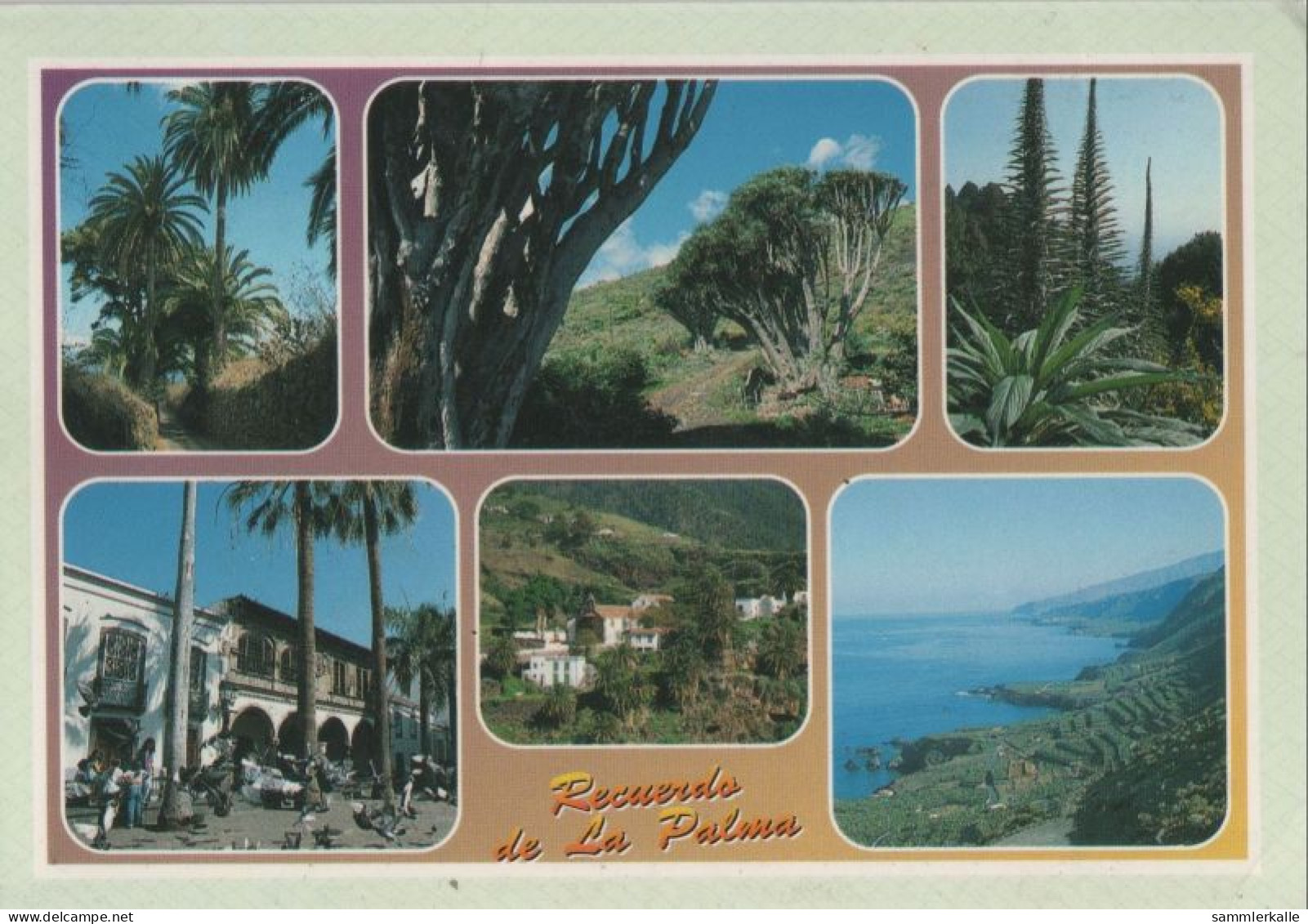 121160 - La Palma - Spanien - 6 Bilder - La Palma