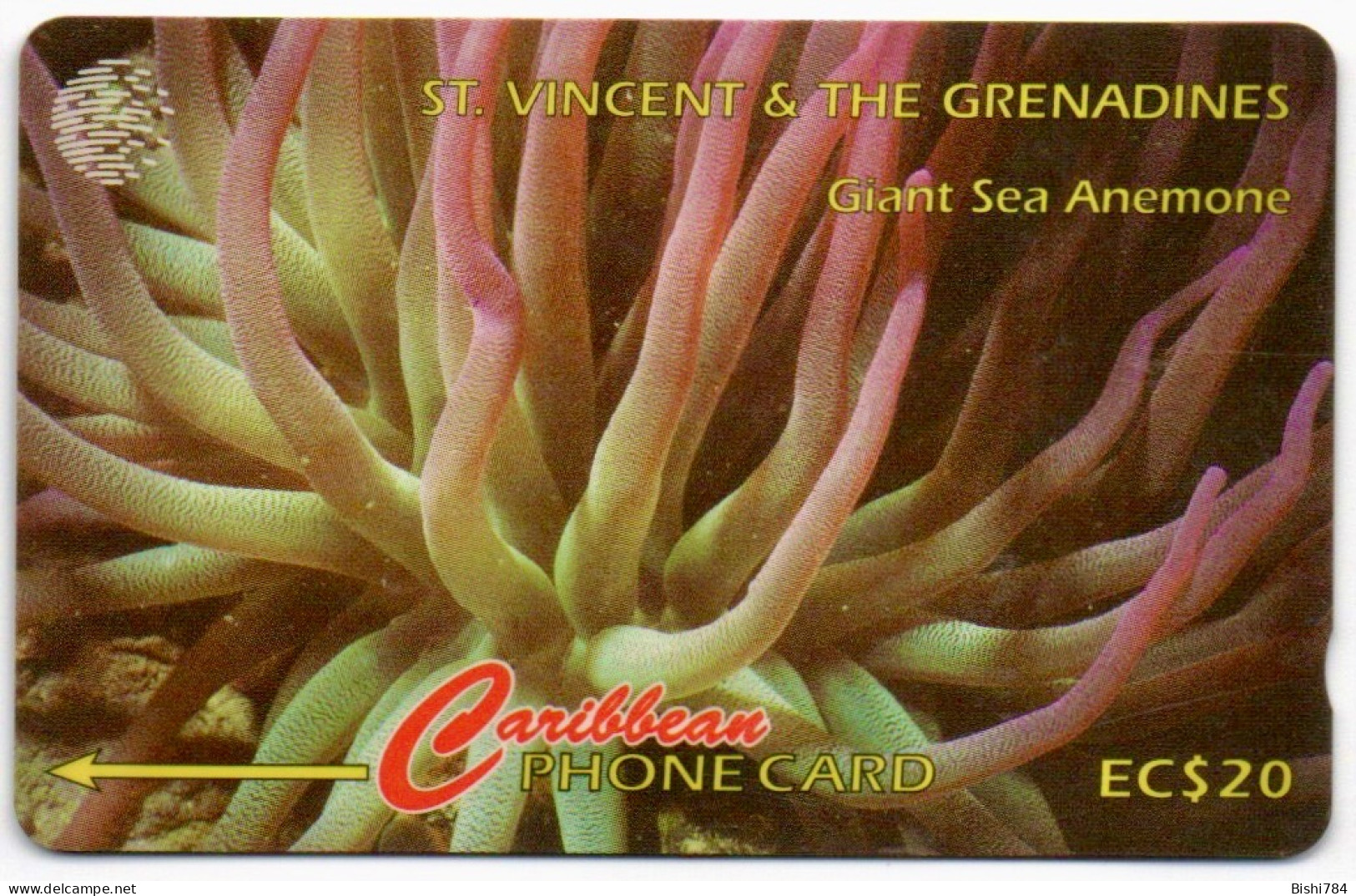 St. Vincent & The Grenadines - Giant Sea Anemone - 101CSVB - St. Vincent & Die Grenadinen