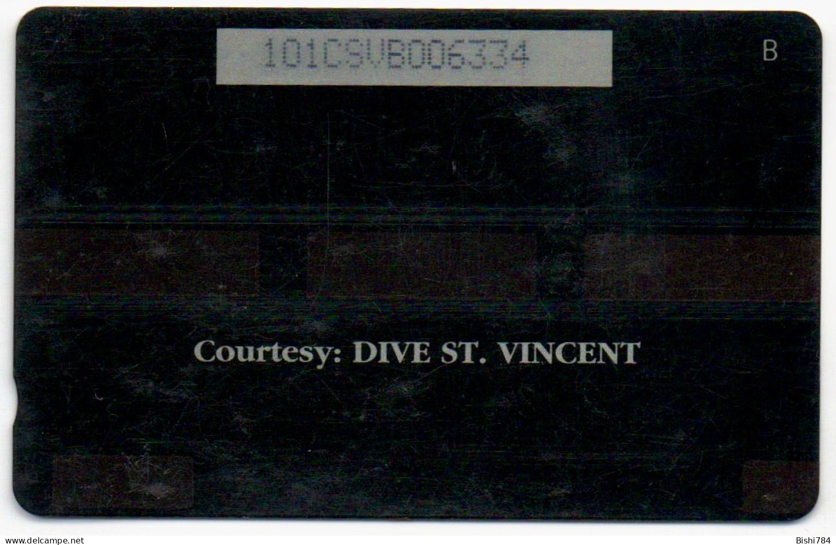 St. Vincent & The Grenadines - Giant Sea Anemone - 101CSVB - St. Vincent & Die Grenadinen