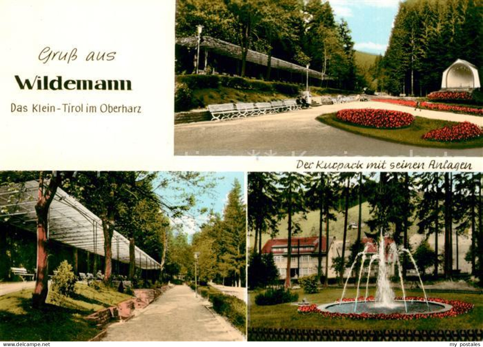73174973 Wildemann Kurpark  Wildemann - Wildemann