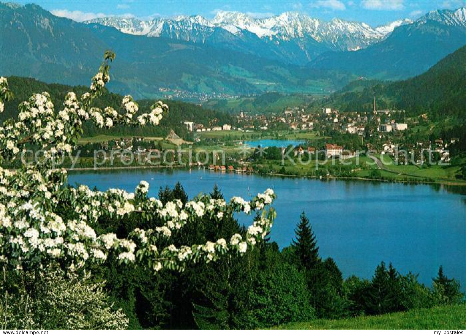 73172934 Buehl Alpsee Panorama Buehl Alpsee - Immenstadt