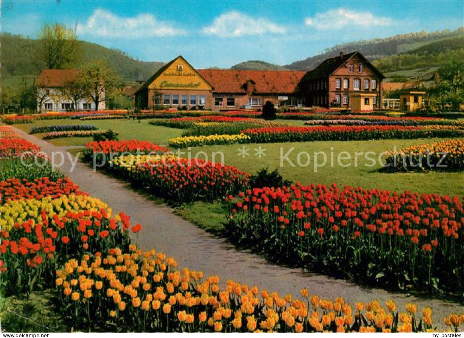 73172917 Deckbergen Essmannshof Tulpenpark Deckbergen - Rinteln