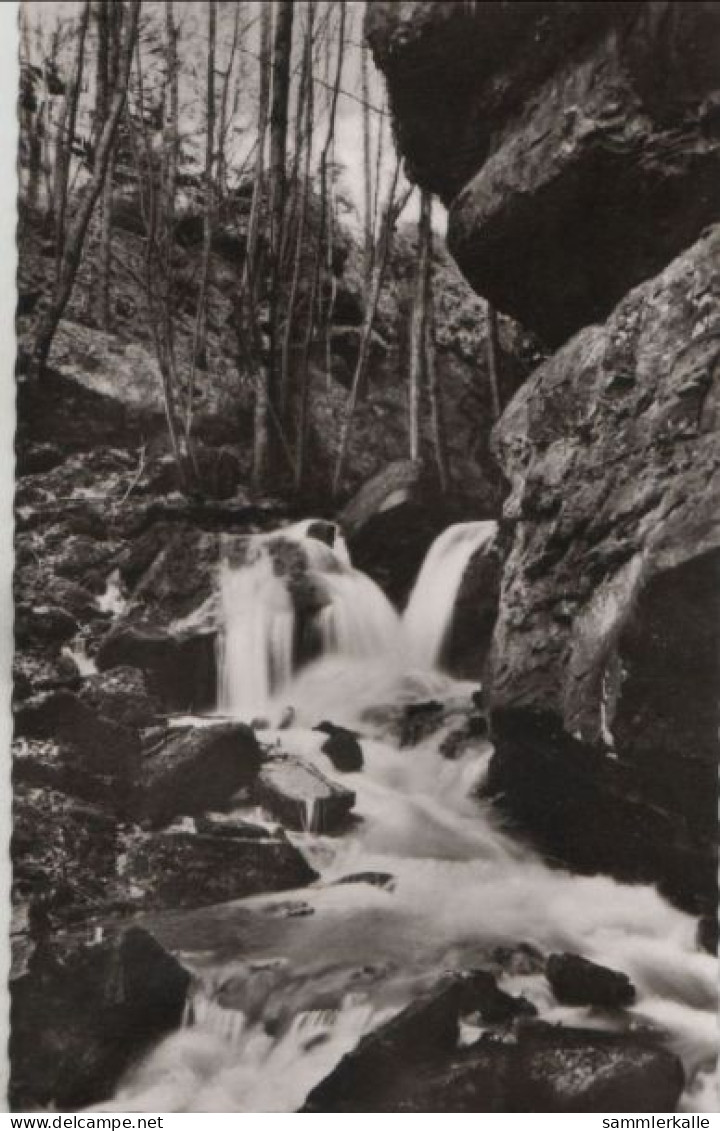 70999 - Zwingenberg - Partie In Der Wolfsschlucht - Ca. 1960 - Mosbach