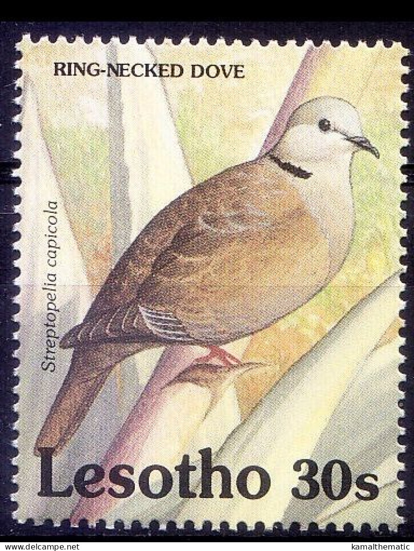 Ring Necked Dove, Birds, Lesotho 1992 MNH - Pigeons & Columbiformes