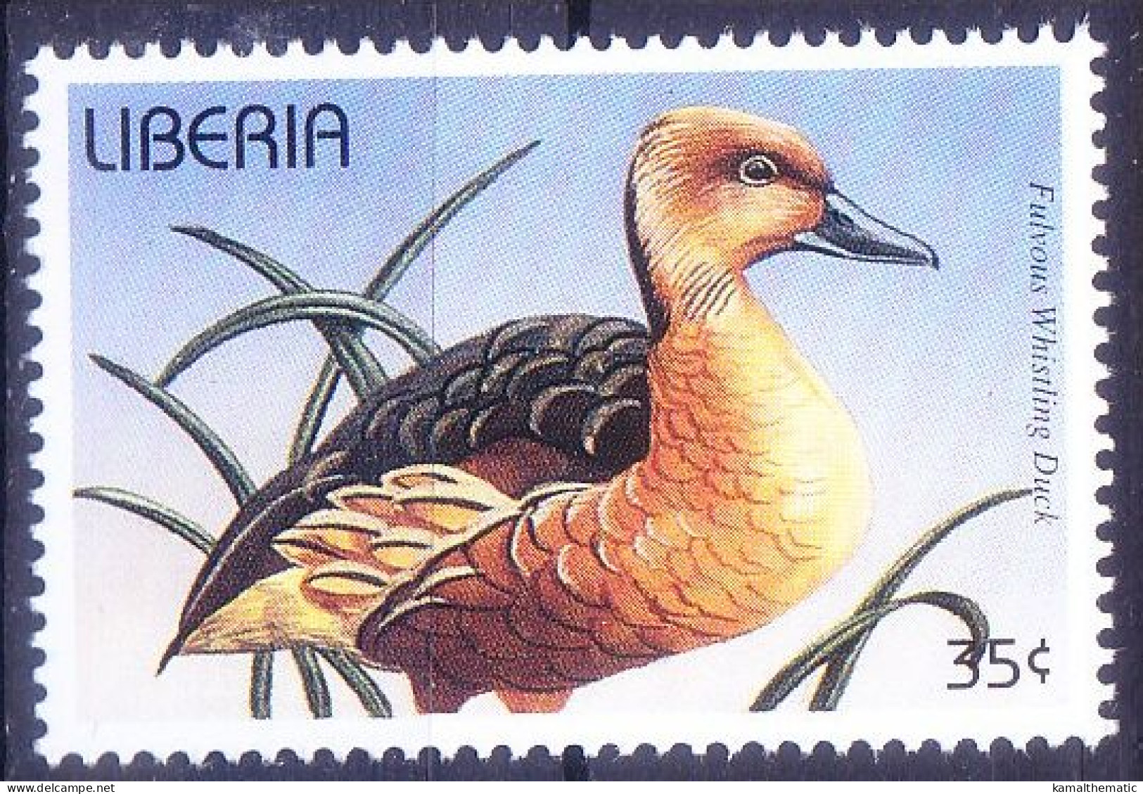 Fulvous Whistling Duck, Ducks, Water Birds, Liberia 1996 MNH - Ducks