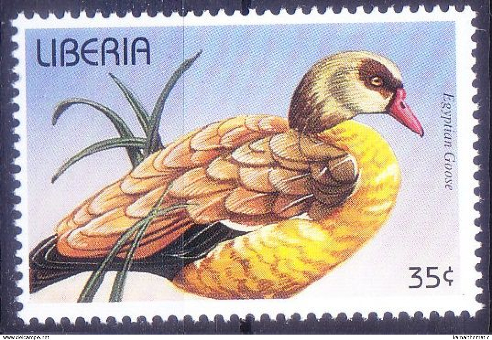 Egyptian Goose (Alopochen Aegyptiaca), Ducks, Water Birds, Liberia 1996 MNH - Geese