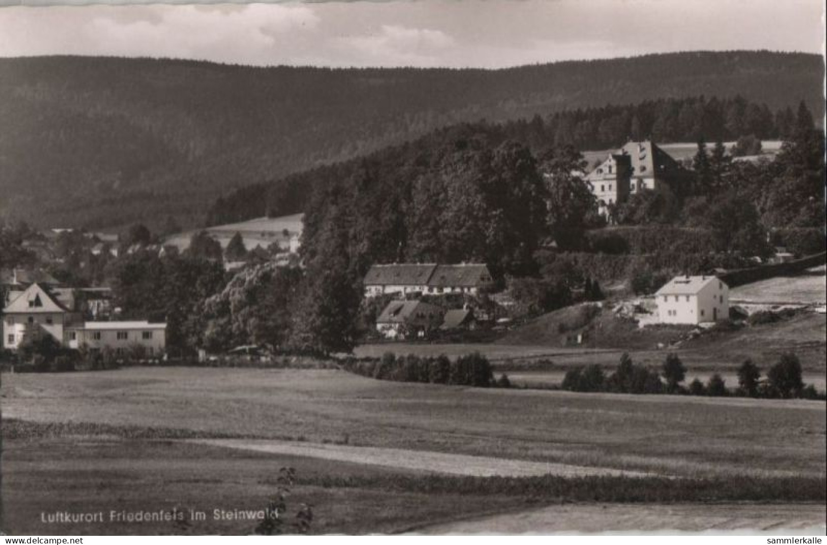 87779 - Friedenfels - Im Steinwald - Ca. 1960 - Tirschenreuth